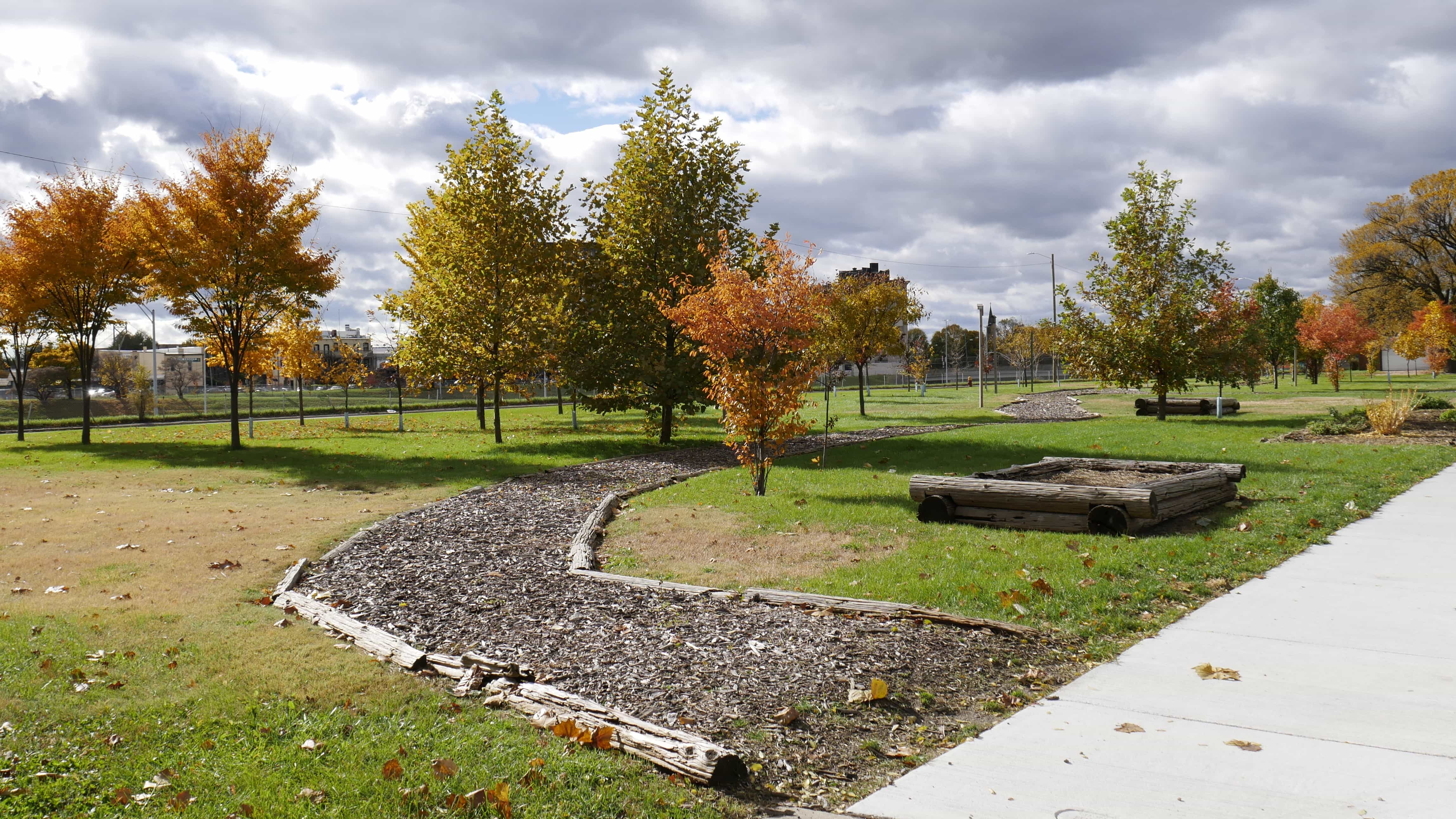 Tree Nursery Photo